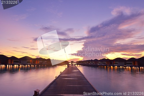 Image of tropical beach