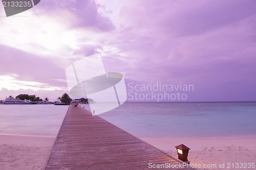 Image of tropical beach