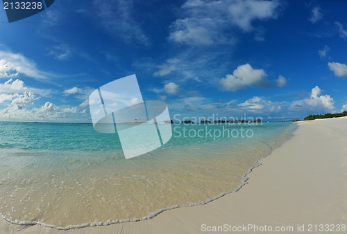 Image of tropical beach