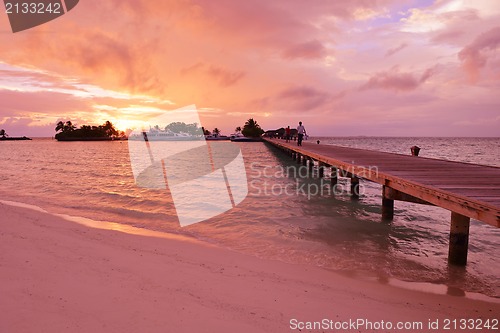 Image of tropical beach