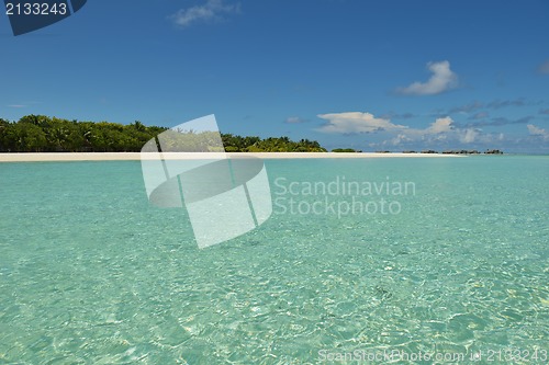 Image of tropical beach