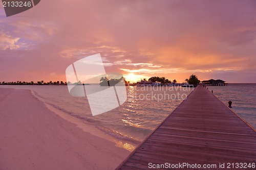 Image of tropical beach