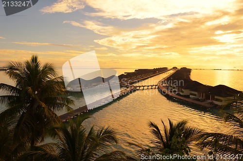 Image of tropical beach