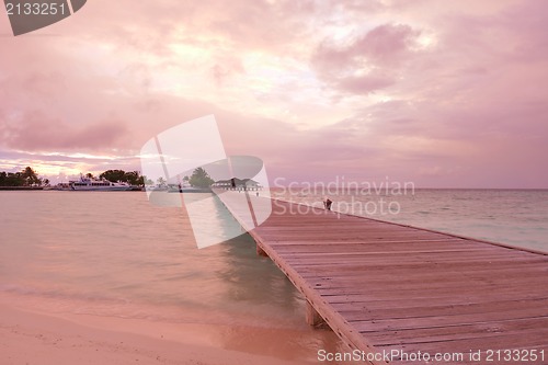 Image of tropical beach