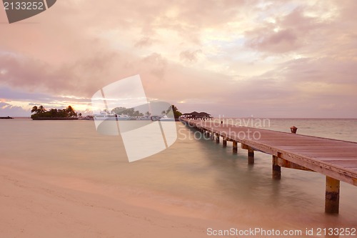 Image of tropical beach