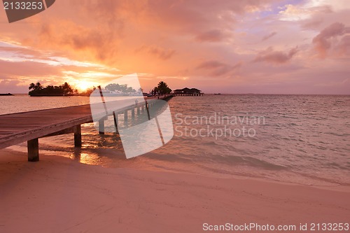 Image of tropical beach