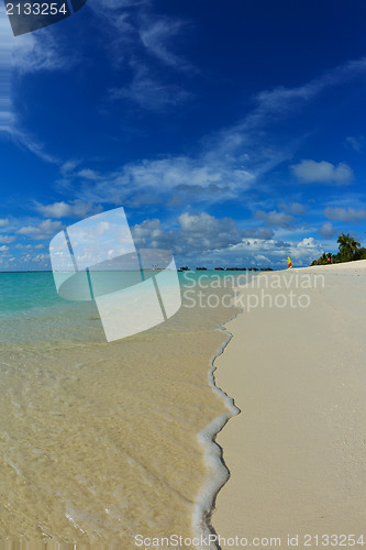 Image of tropical beach