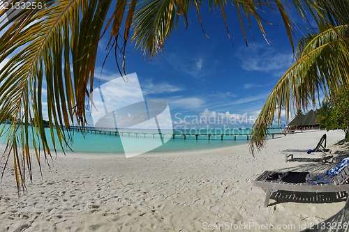 Image of tropical beach