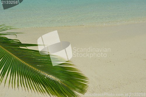 Image of tropical beach