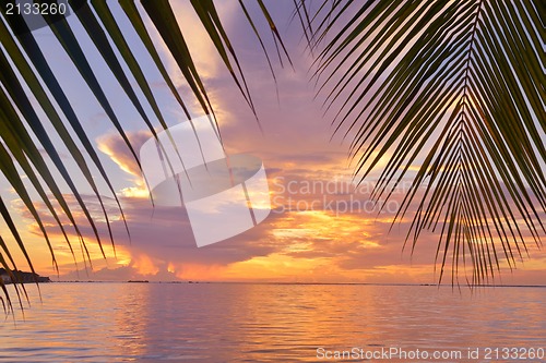 Image of tropical beach