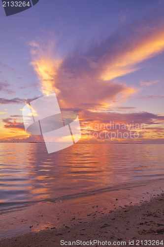 Image of tropical beach