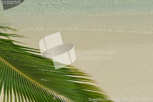 Image of tropical beach