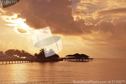 Image of tropical beach