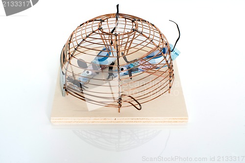 Image of Conceptual: Euro Bills trapped in mouse-trap