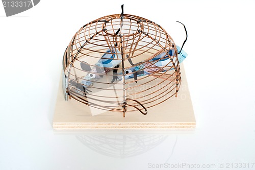 Image of Conceptual: Euro Bills trapped in mouse-trap