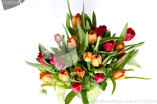 Image of Bouquet of tulips on white - horizontal