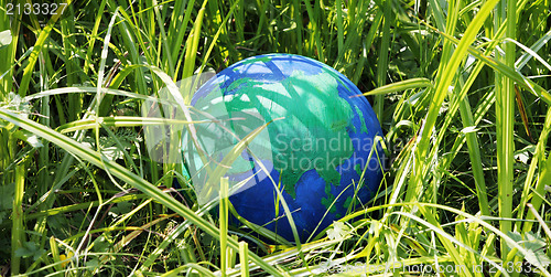 Image of Globe in the grass