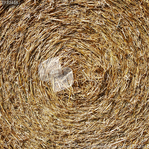 Image of Straw hay