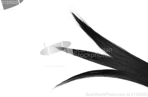 Image of Black hair