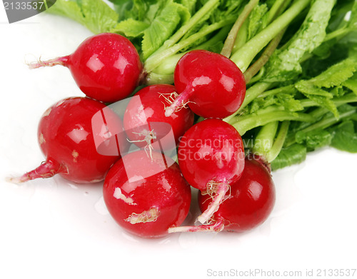 Image of Radish