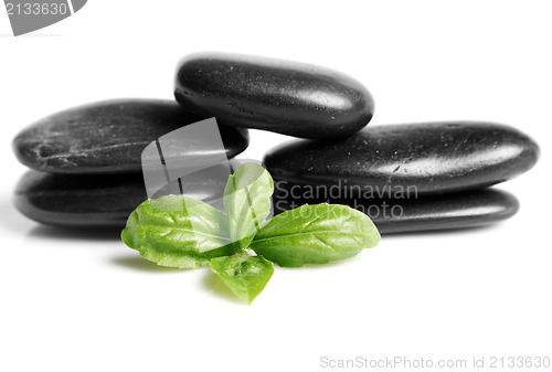 Image of Black stones and leafs 