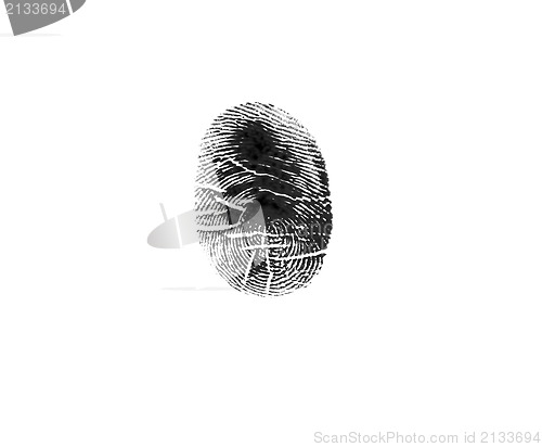 Image of Fingerprint