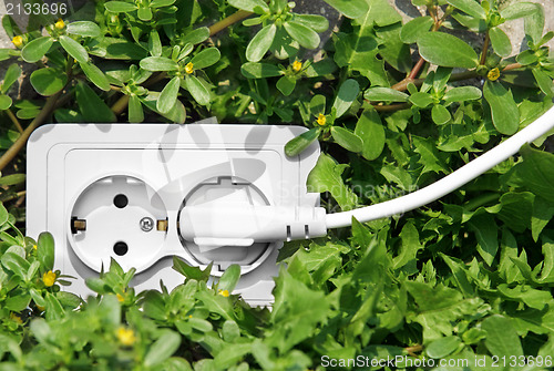 Image of Power outlet in green grass 