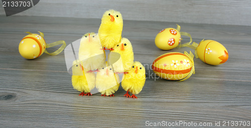 Image of Easter chickens and eggs 