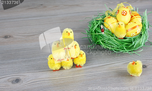 Image of Little chicken and easter eggs 