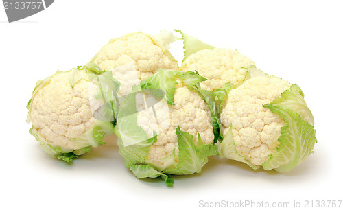 Image of Several Heads of Cabbage Cauliflower