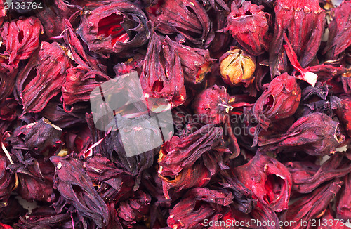 Image of Dried Hibiscus Flowers