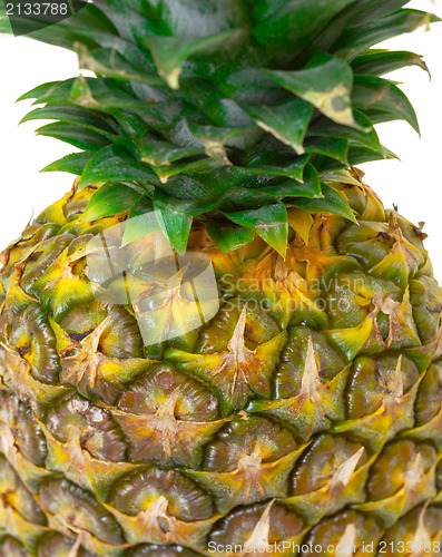 Image of Part Ripe Pineapple Fruit