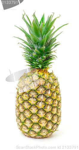 Image of Ripe Pineapple Fruit