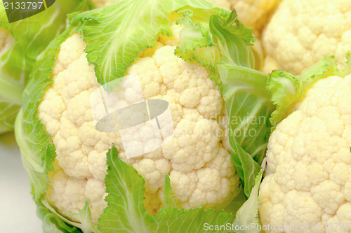 Image of Heads of Cabbage Cauliflower