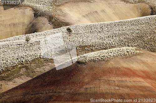 Image of Detail, Painted Hills Unit, John Day National Monument