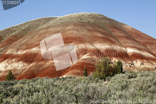 Image of Detail, Painted Hills Unit, John Day National Monument