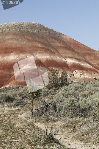 Image of Detail, Painted Hills Unit, John Day National Monument