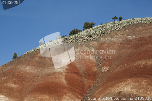 Image of Detail, Painted Hills Unit, John Day National Monument