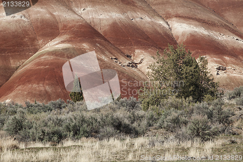 Image of Detail, Painted Hills Unit, John Day National Monument