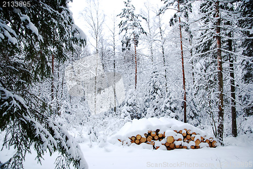 Image of Snowy log pile