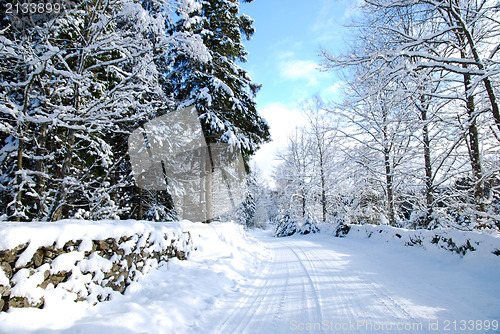 Image of Road in winter landscape