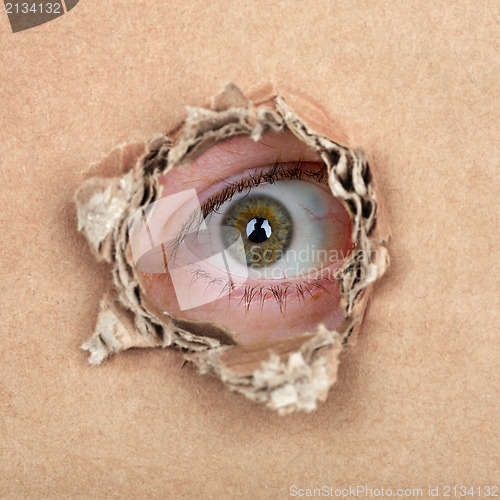 Image of Spy eye in hole