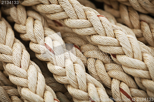 Image of Big marine sea ropes background