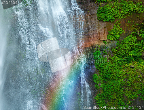 Image of Waterfall with rainbow and green plants