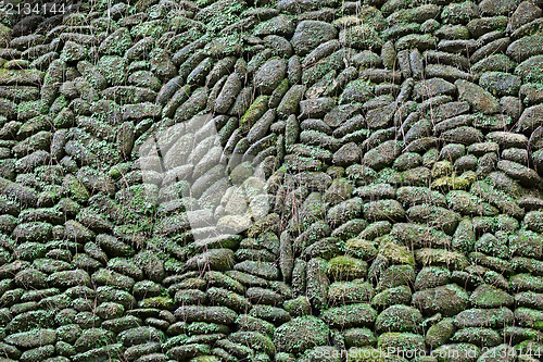 Image of Old stone wall with moss and plants background