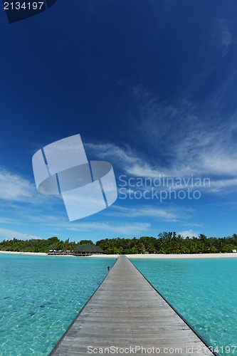 Image of tropical beach