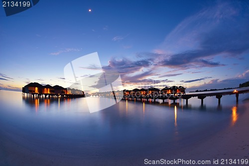 Image of tropical beach