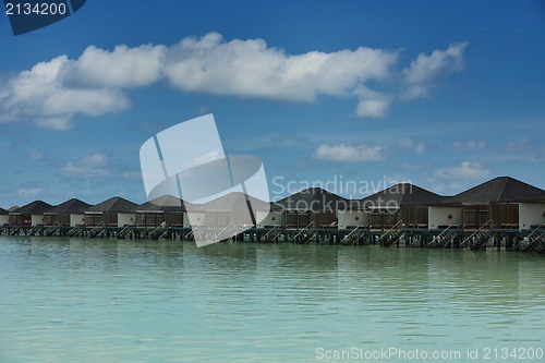 Image of tropical beach