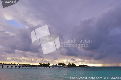 Image of tropical beach