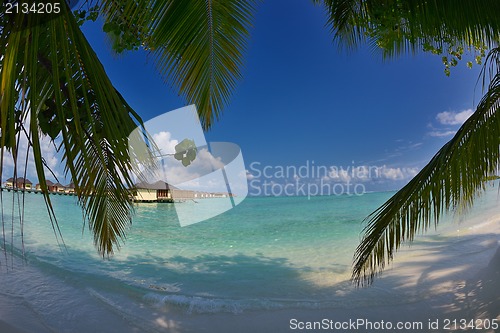 Image of tropical beach